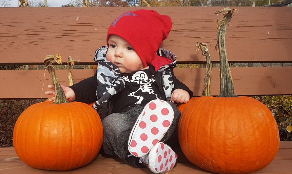 Ollie Picks A Pumpkin 2018