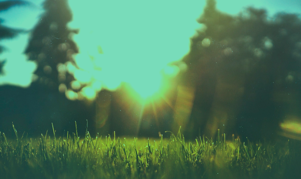 Environment MPP Email Apr 2019 Feature Banner