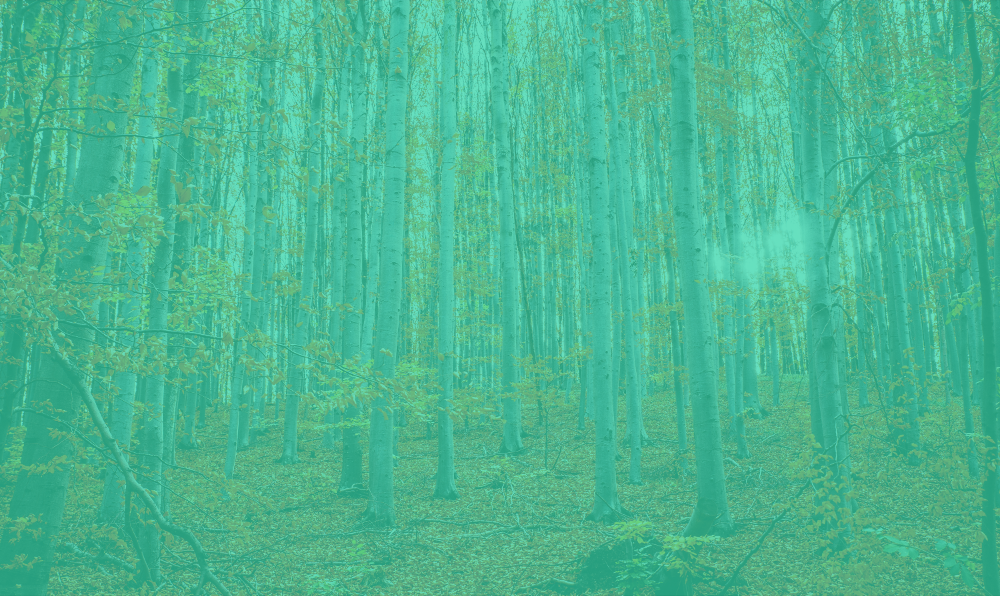 Excited for Fall 2020